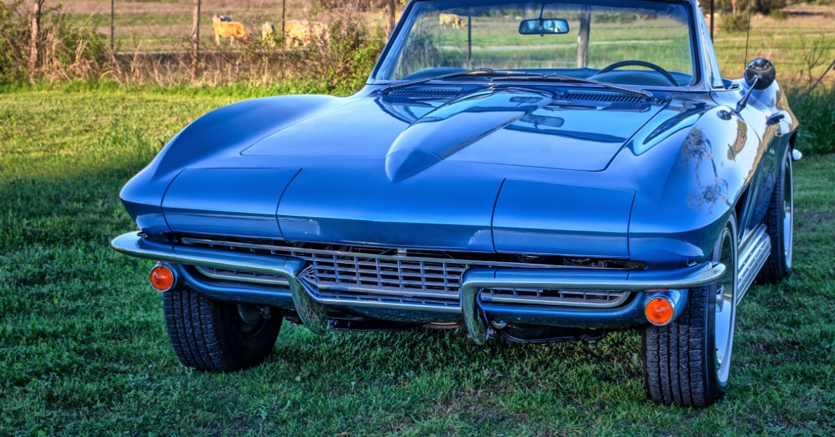A front view of a blue classic sports car with an open top parked in a pasture with livestock in the background.