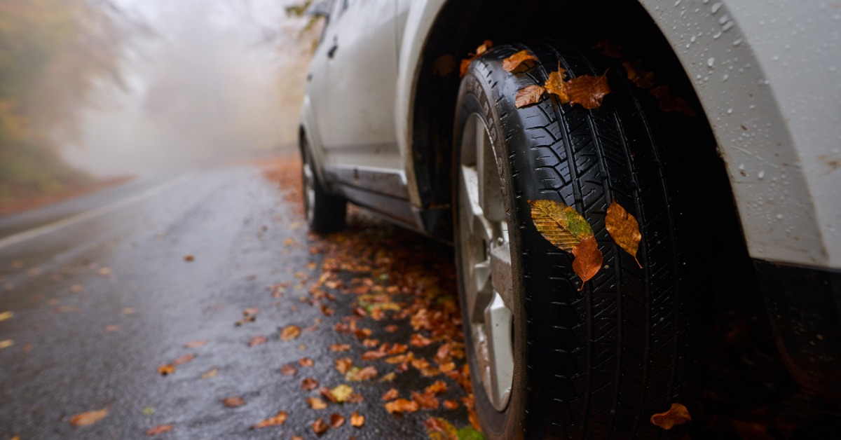 A large gray car driving on wet road on a foggy day. The road is covered in orange and brown fallen leaves.