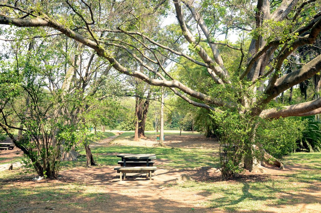 Parque do Ibirapuera, zona sul de SP