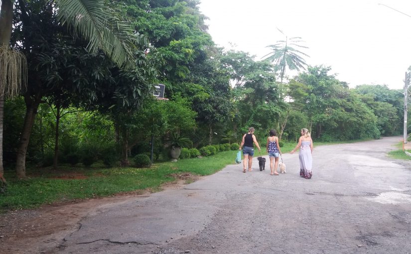 Parque Linear é tema central de audiência sobre orçamento no Butantã