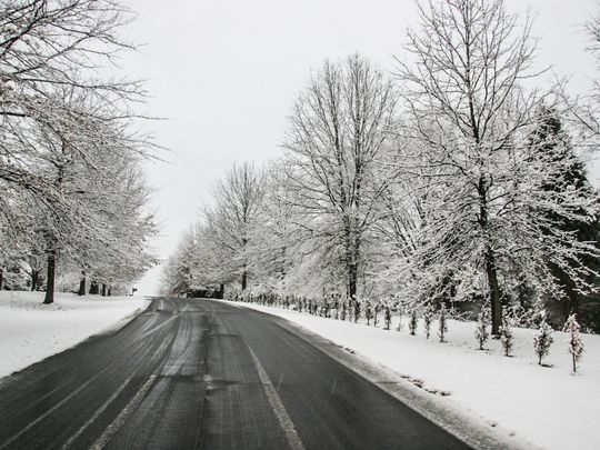 driving weather forecast ginger