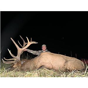 Bull Elk Hunt New Mexico on Call