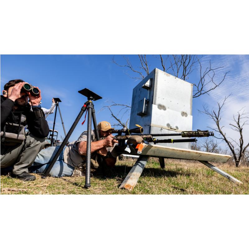 Corporate Team Building 