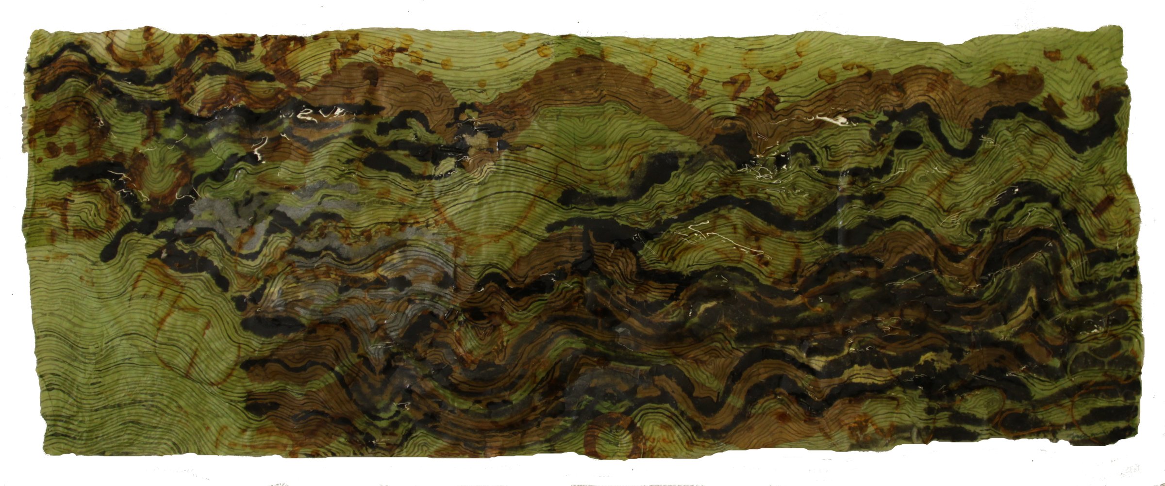 Nancy Cohen, Floating, 2011