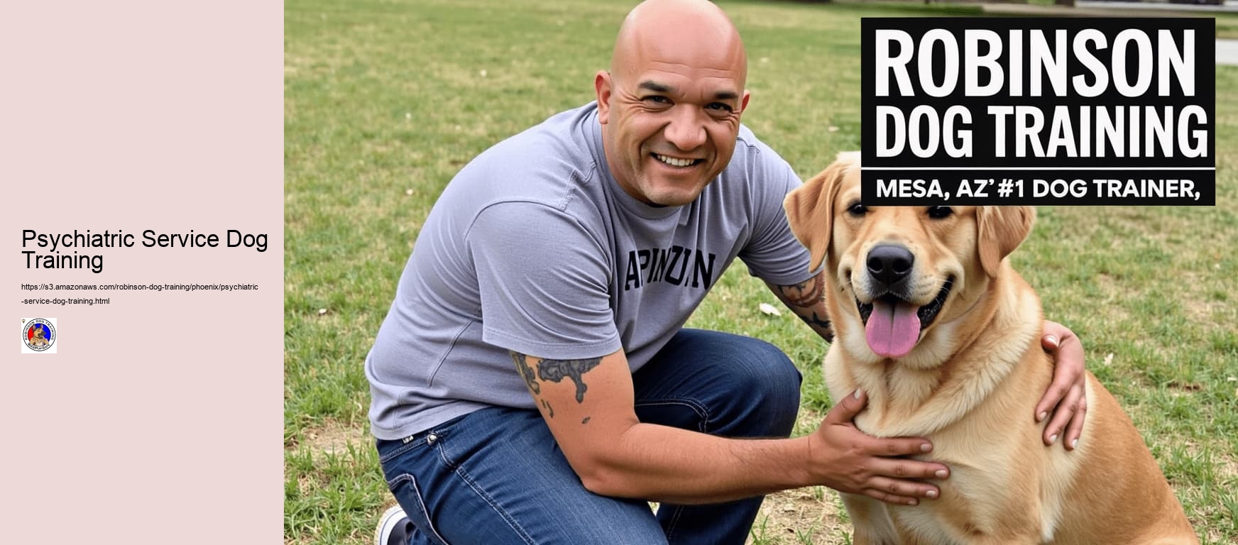Psychiatric Service Dog Training