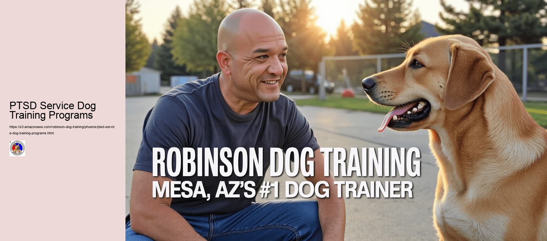 PTSD Service Dog Training Programs