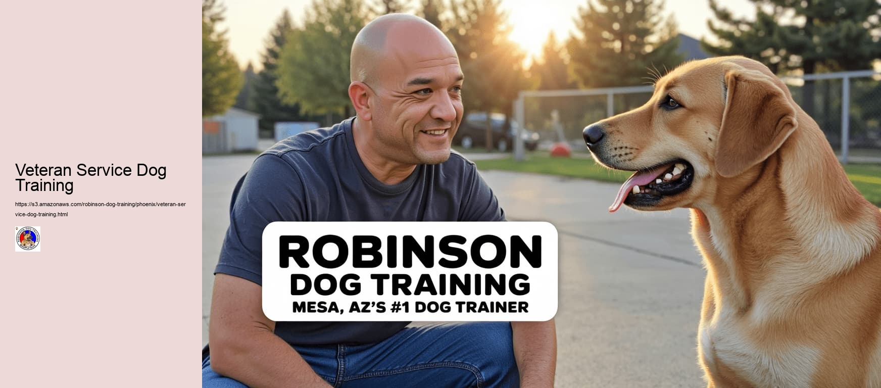 Veteran Service Dog Training