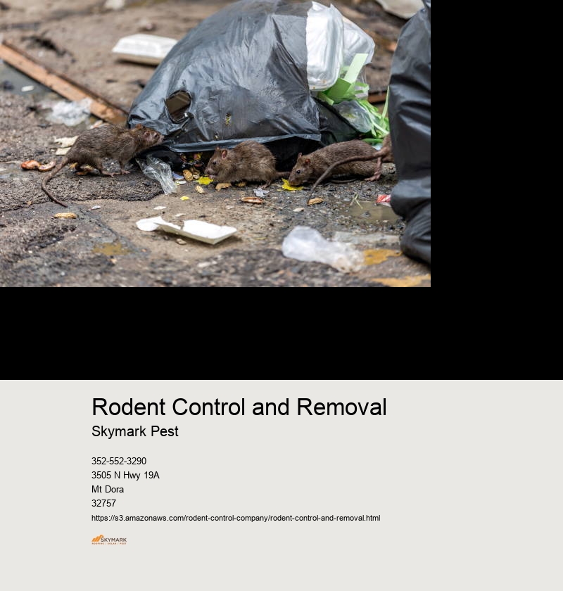 Emergency Rodent Control