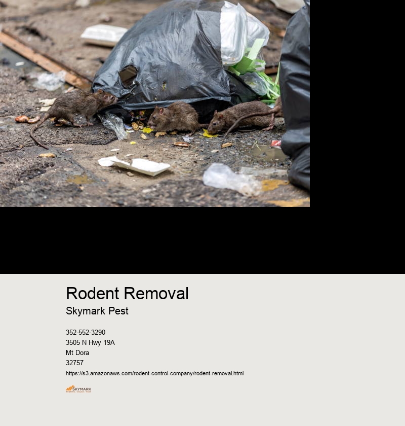 Emergency Rodent Control