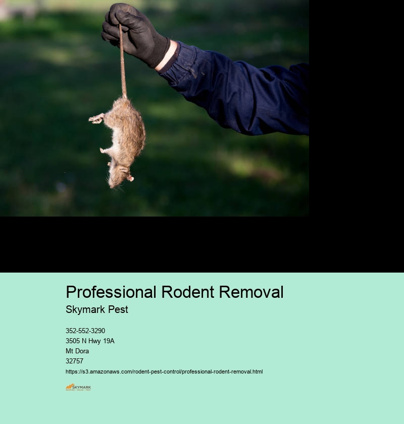 Rodent Pest Control