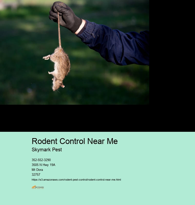 Rodent Pest Control
