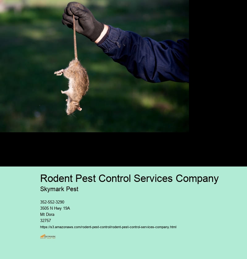Rodent Pest Control