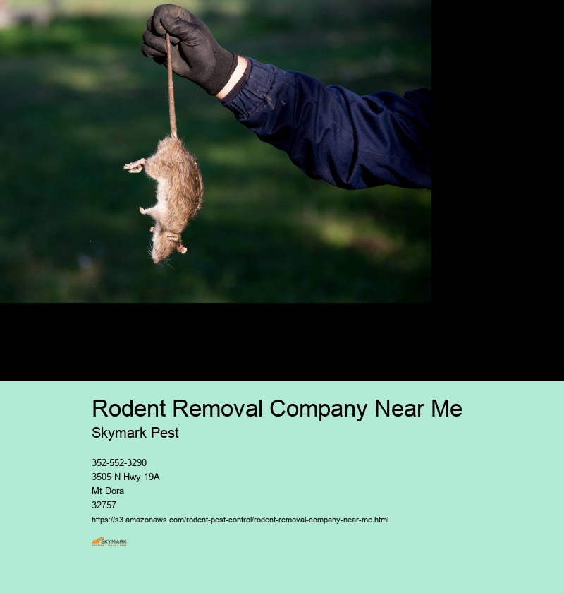 Rodent Pest Control