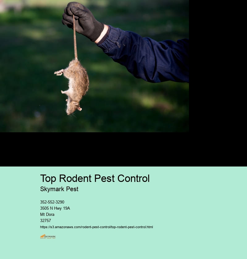 Rodent Pest Control