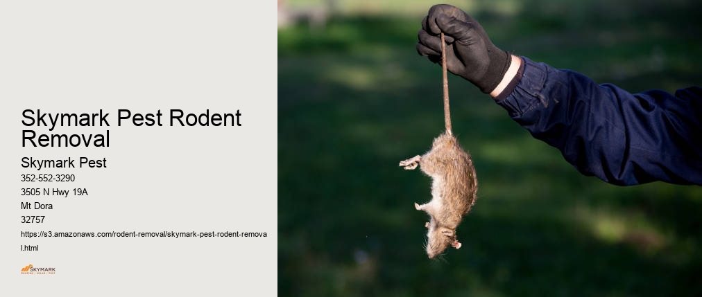 Skymark Pest Rodent Removal