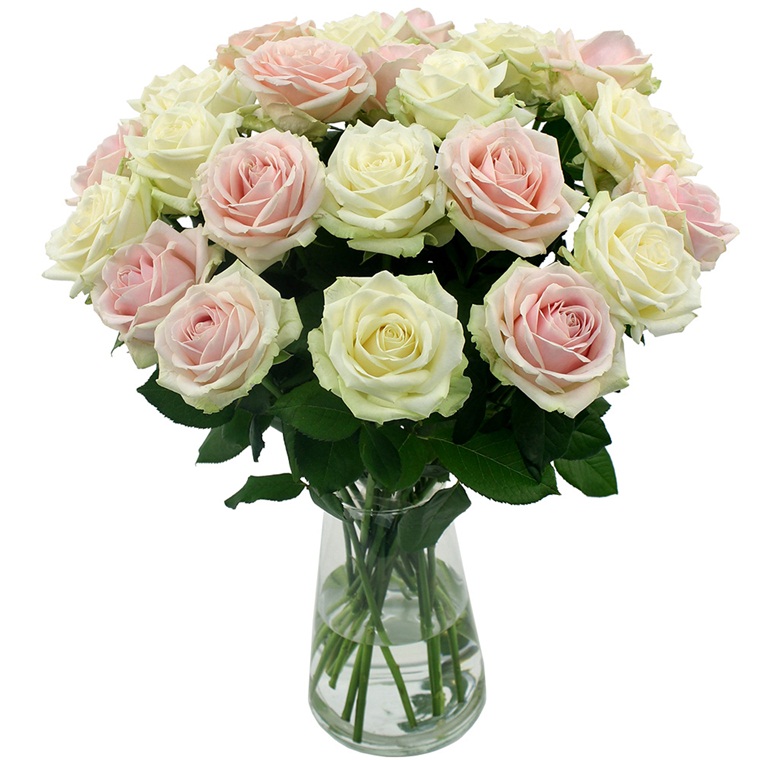 Win a PosyBox 24 stem rose bouquet Fashion Sweepstakes Tomorro