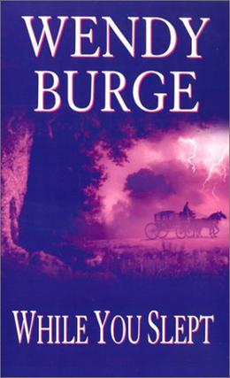 While You Slept by Wendy Burge