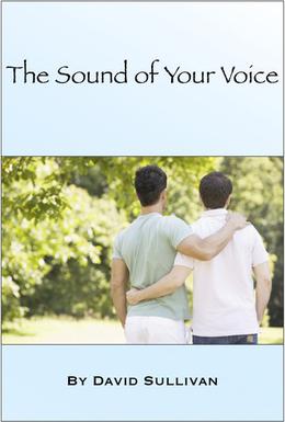 The Sound of Your Voice by David Sullivan