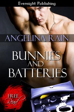 Bunnies and Batteries by Angelina Rain