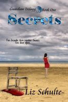 Secrets by Liz Shulte