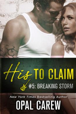 Breaking Storm (His To Claim #5)