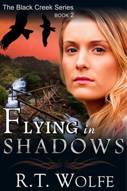 Flying in Shadows by R.T. Wolfe