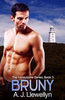 Bruny by A.J. Llewellyn