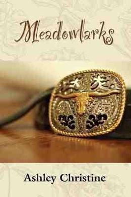 Meadowlarks by Ashley Christine