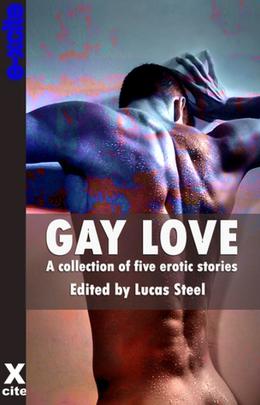 Gay Love by Lucas Steele, Celyn Lleuad, Sommer Marsden, Elizabeth Coldwell, Alcamia, John Connor