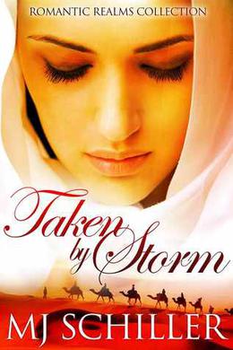 Taken by Storm (Romantic Realms Collection #1)