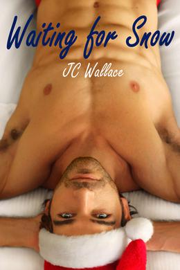 Waiting for Snow by J.C. Wallace