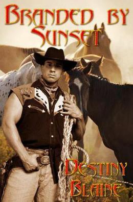 Branded by Sunset by Destiny Blaine