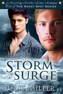 Storm Surge (The Sweet Spot Series) by Cait Miller