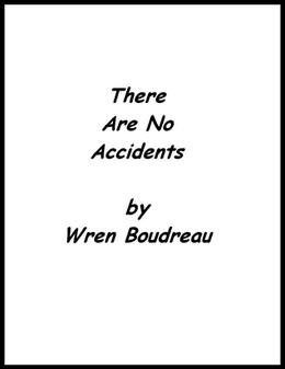 There Are No Accidents by Wren Boudreau