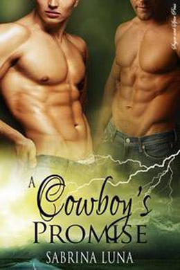 A Cowboy's Promise by Sabrina Luna