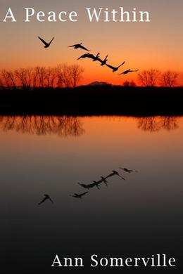 A Peace Within by Ann Somerville