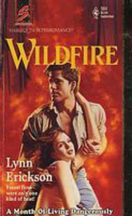 Wildfire (Harlequin Superromance No. #564)
