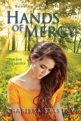 Hands of Mercy by Charissa Stastny