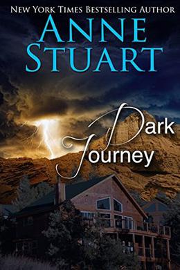 Dark Journey by Anne Stuart