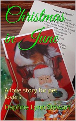 Christmas in June by Daphne Lynn Stewart