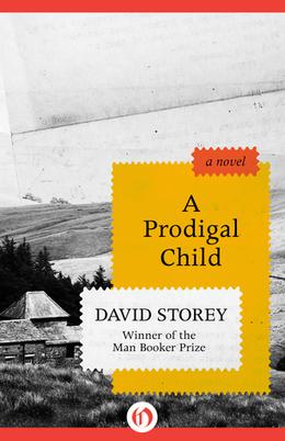 A Prodigal Child: A Novel by David Storey