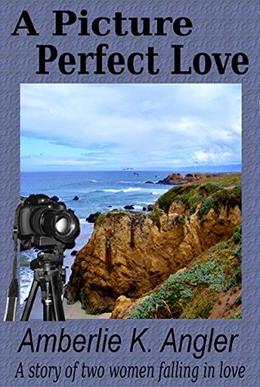 A Picture Perfect Love by Amberlie K. Angler, Amanda Lynn