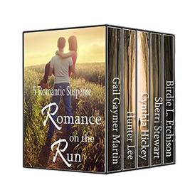 Romance on the Run: 5 Christian Romantic Suspense Stories by Gail Gaymer Martin, Hunter Lee, Cynthia Hickey, Sherri Stewart, Birdie L. Etchison
