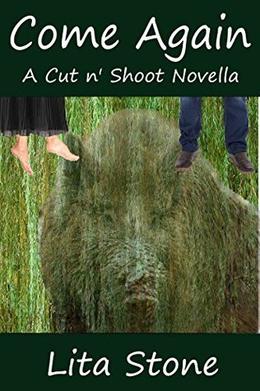 Come Again: A Wolfe Brothers Novella by Lita Stone