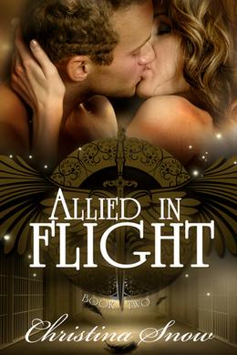 Allied in Flight by Christi Snow