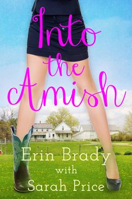Into the Amish by Erin Brady, Sarah Price