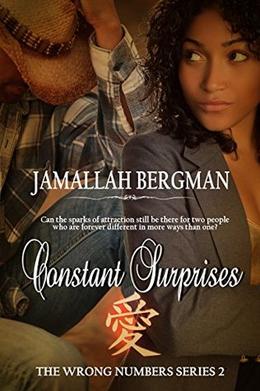 Constant Surprises by Jamallah Bergman, Dawne Dominque