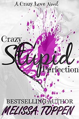 Crazy Stupid Perfection (Crazy Stupid #3)
