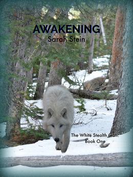 Awakening by Sarah Stein