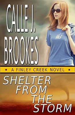 Shelter from the Storm by Calle J. Brookes